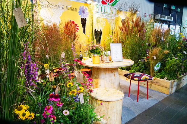 Zieleń to Życie 13