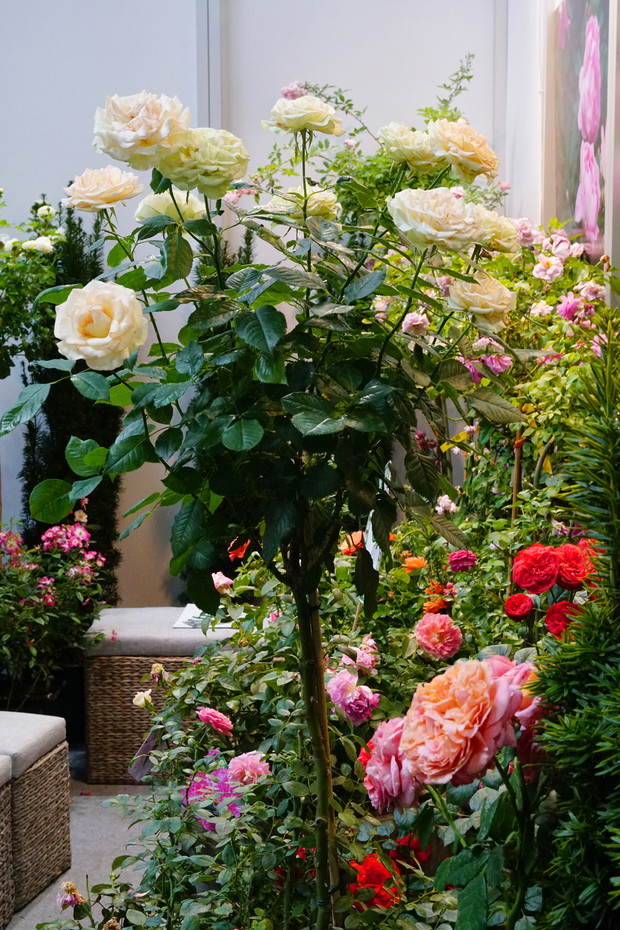 Zieleń to Życie 14