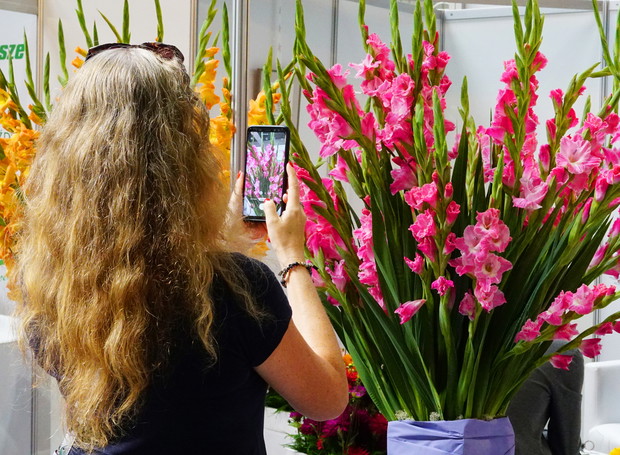 Zieleń to Życie 16