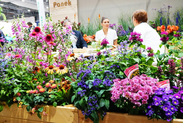 Zieleń to Życie 25