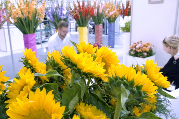 Zieleń to Życie 28