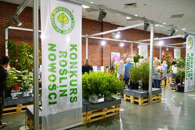 Zieleń to Życie 41