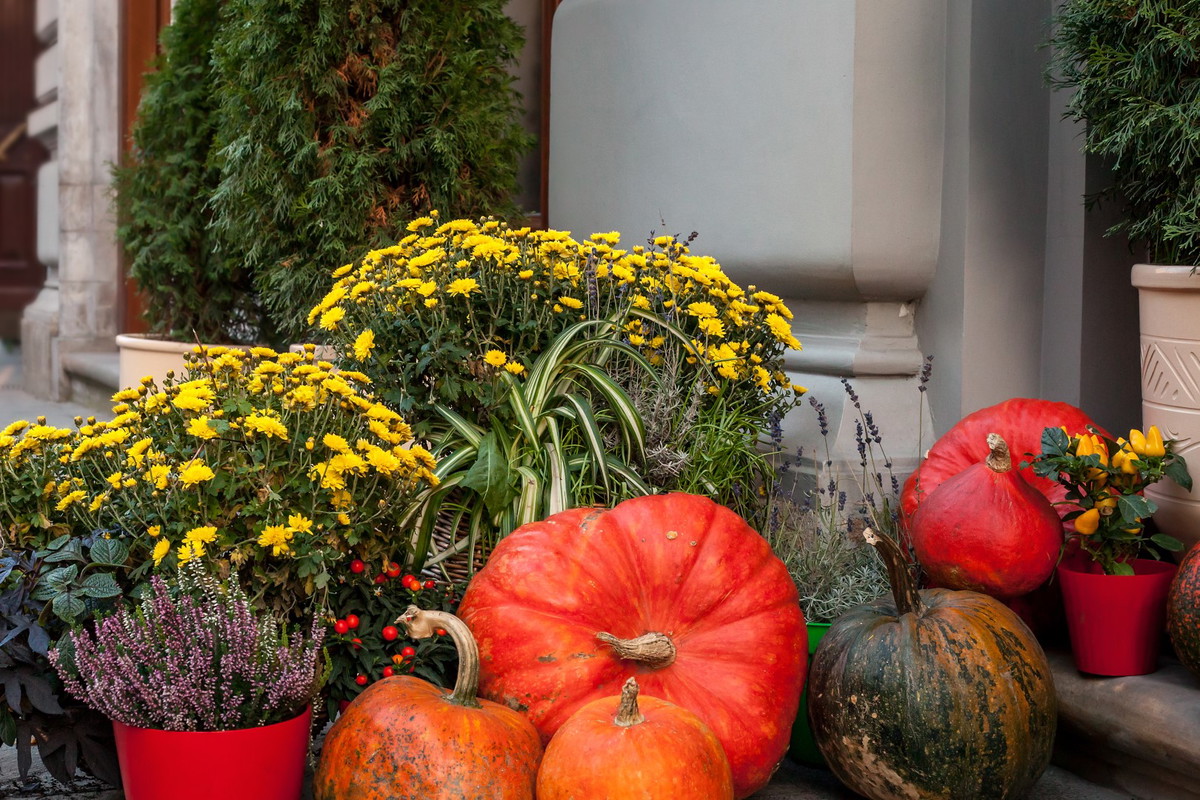 jesienne dekoracje na tarasie