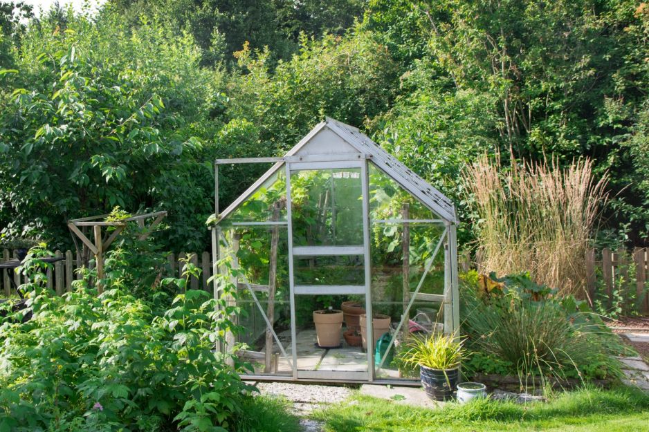 szklarnia-ogrod.jpeg