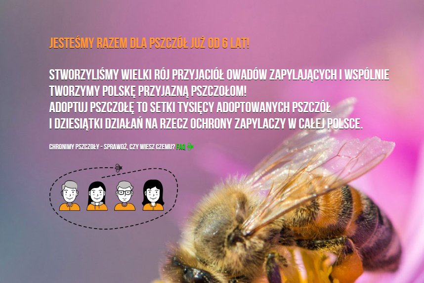 adoptuj pszczołę