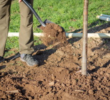 gleba w ogrodzie jesienią