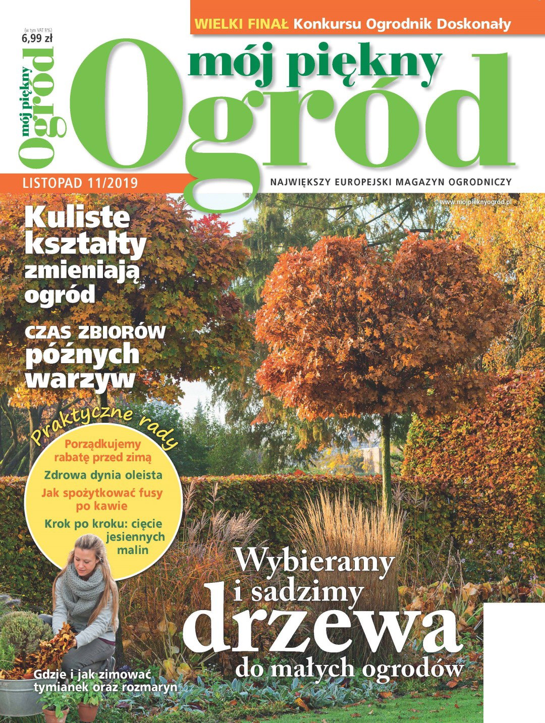 Mój Piękny Ogród 11/2019