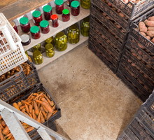 przechowywanie warzyw w spiżarni