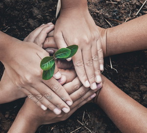 Nowy magazyn - EKOogród