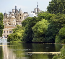 Ogrody St Jame's Palace