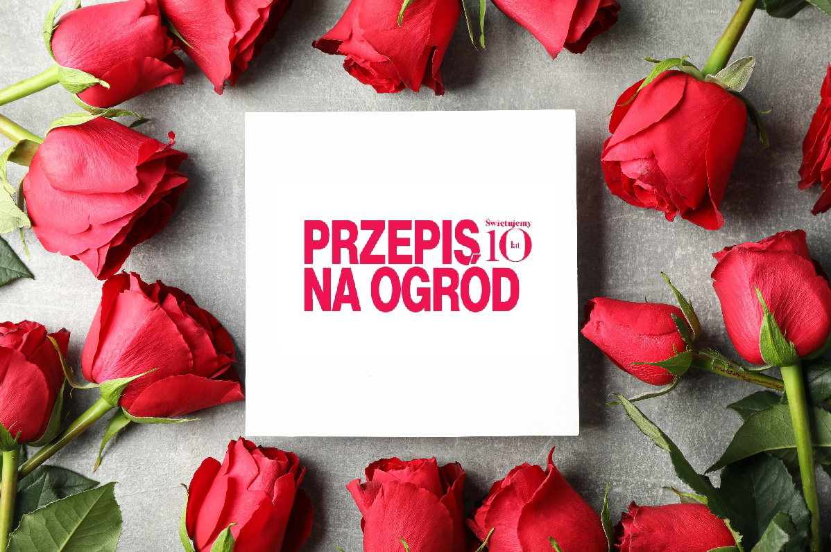 Przepis na ogród