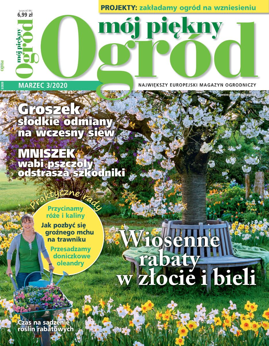 Mój Piękny Ogród 03/2020