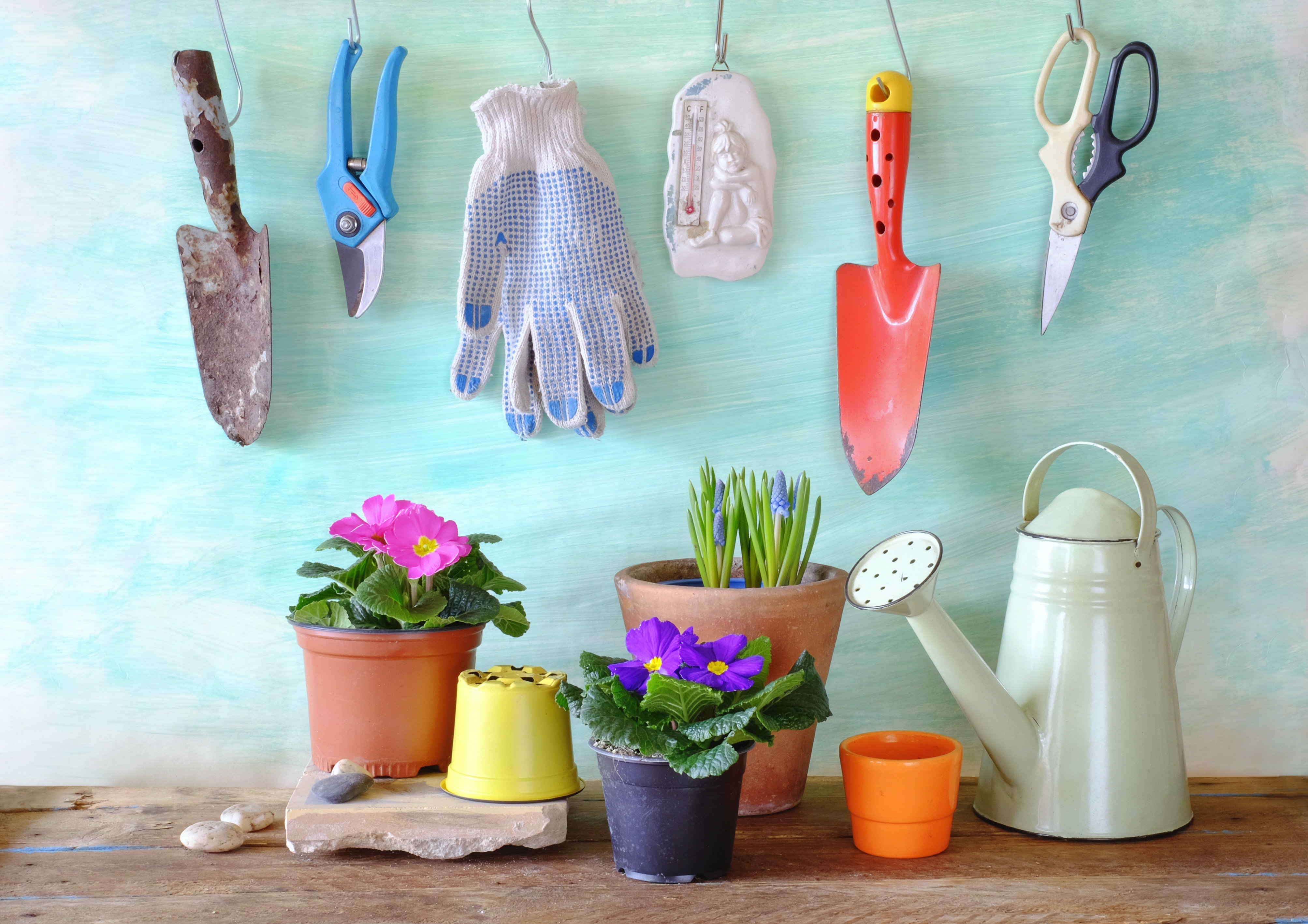 Narzędzia ogrodnicze