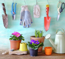 Narzędzia ogrodnicze