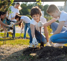 Sadzenie drzewek owocowych