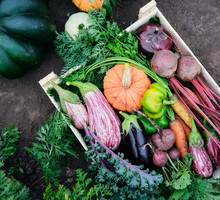 Warzywa siew kwiecień