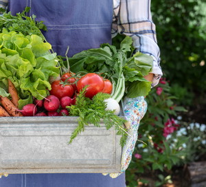 Warzywa i choroby grzybowe