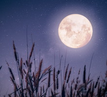 Kalendarz księżycowy czerwiec