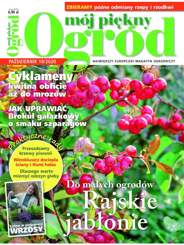 Mój Piękny Ogród 10/2020