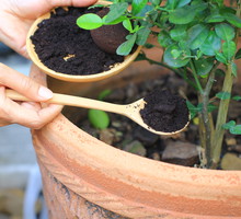 Ekologiczne nawozy do ogrodu