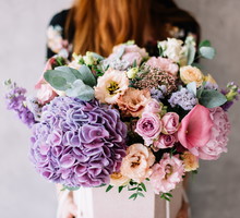 Horoskop roślinny dla 12 znaków zodiaku