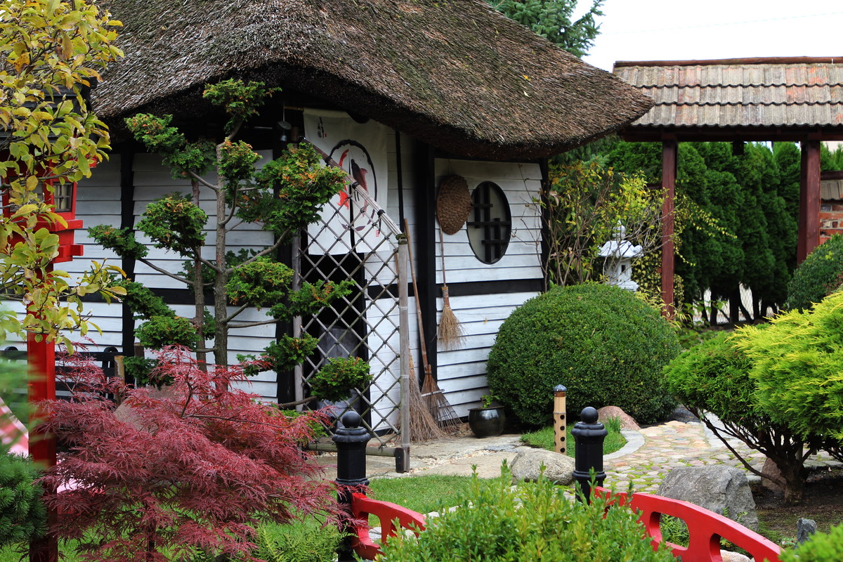 Ogród japoński - jak urządzić, jakie rośliny