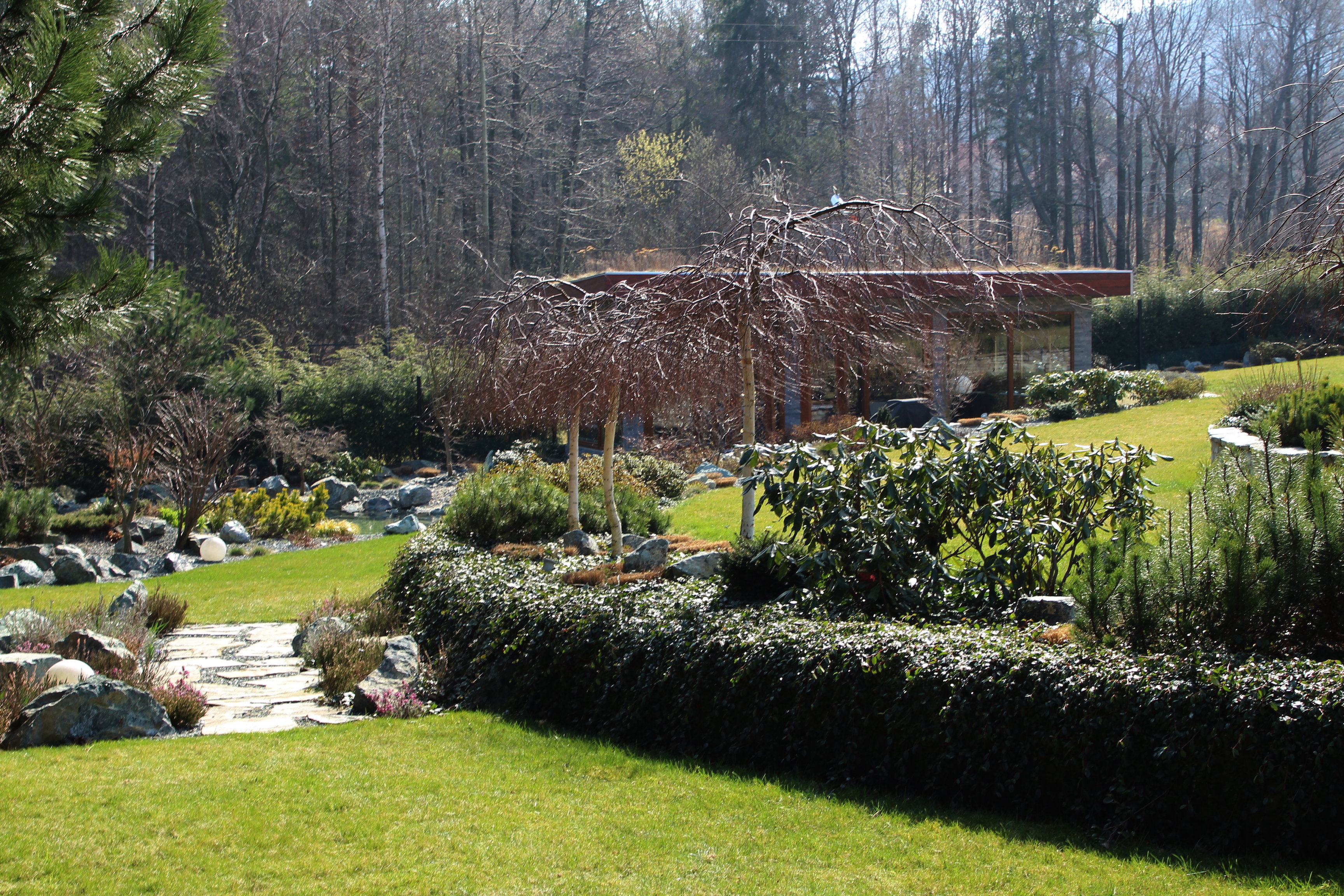 Ogród kaskadowy - zdjęcia, rośliny