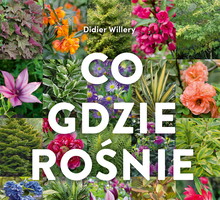 Co gdzie rośnie