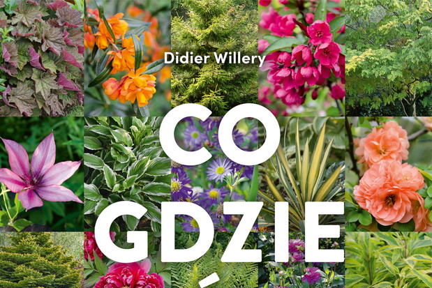 Co gdzie rośnie