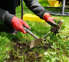 Co to jest glifosat i dlaczego nie warto go stosować?