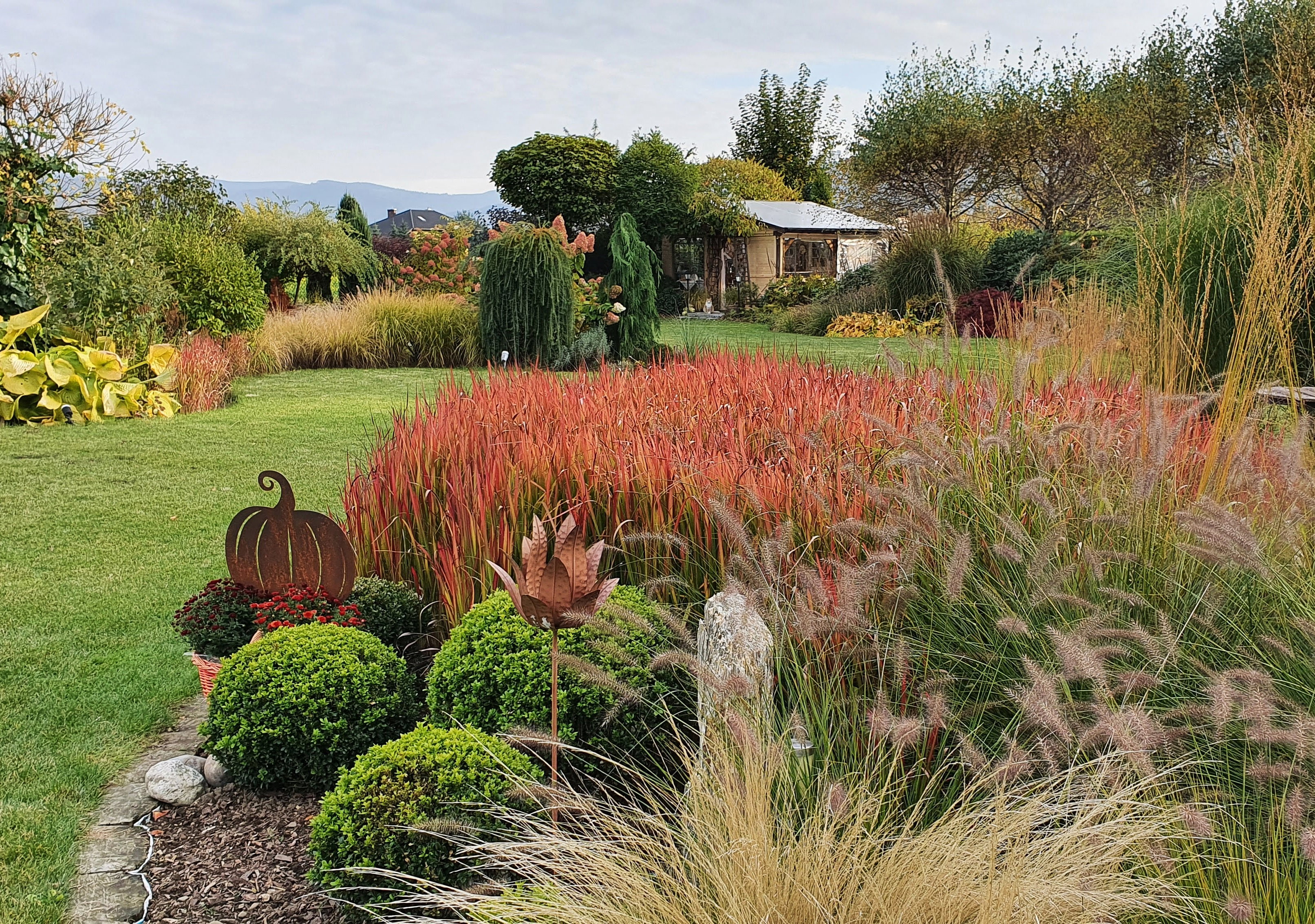 Trawy ozdobne - miskant chiński, rozplenica japońska