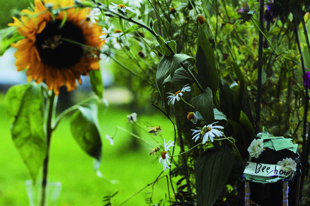 Stwórz ogród przyjazny pszczołom