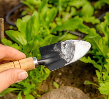 Soda oczyszczona w ogrodzie