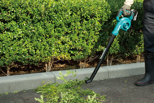 Jesienna pielęgnacja, przycinanie żywopłotów i innych roślin