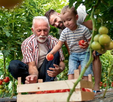 Rodzinny Konkurs Ogrodniczy