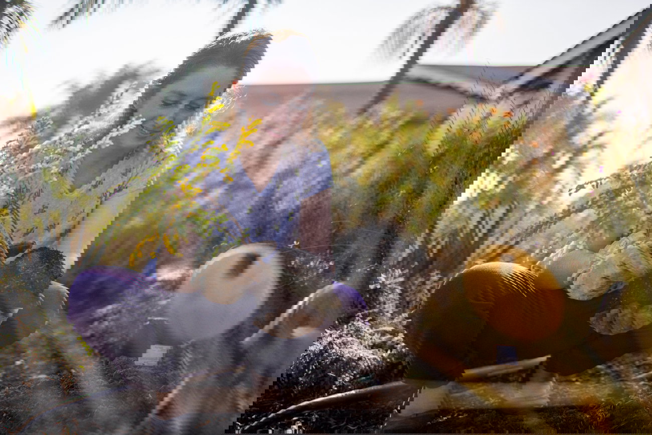 sadzenie drzew jesienią