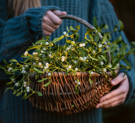 Jemioła na szczęście