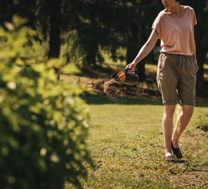 Pielęgnacja trawnika po zimie - jak zadbać o trawnik przed nadejściem wiosny?
