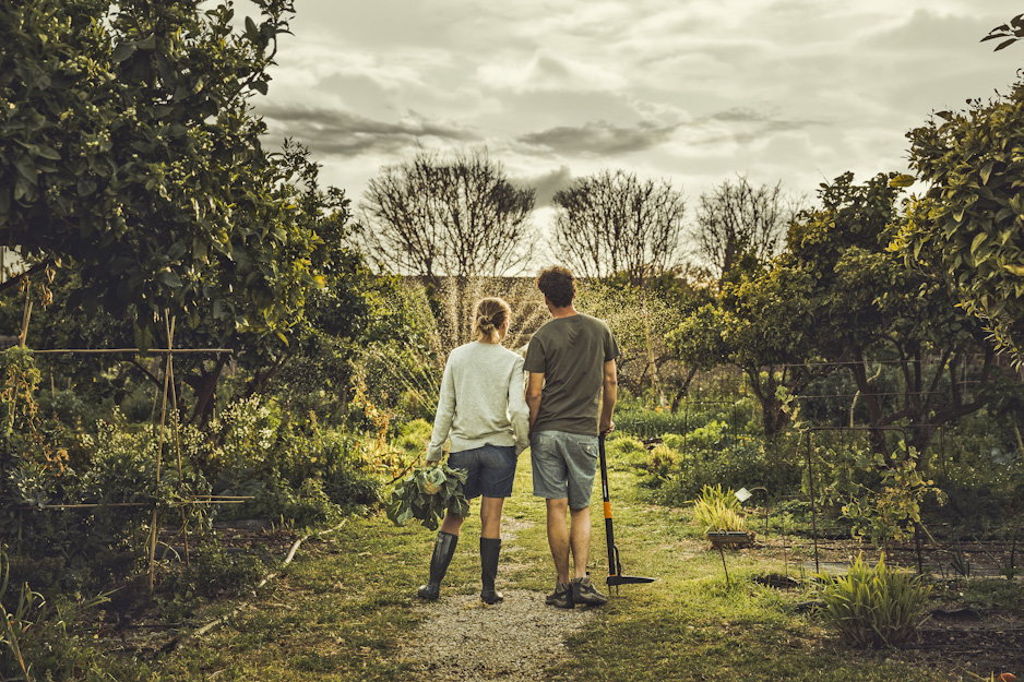 Fiskars główne zdjecie