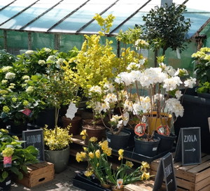 Konkurs Nowości Ogrodniczych 2022