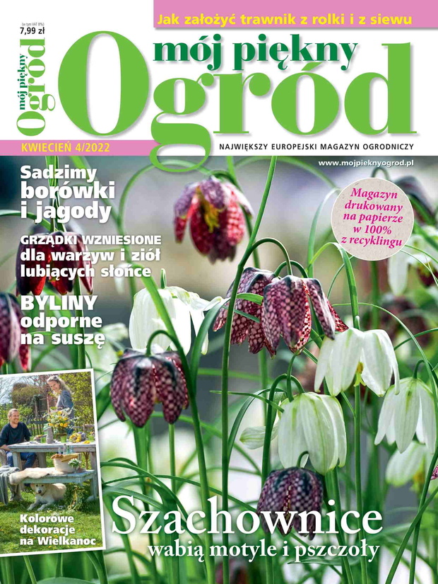 Mój Piękny Ogród 4/2022