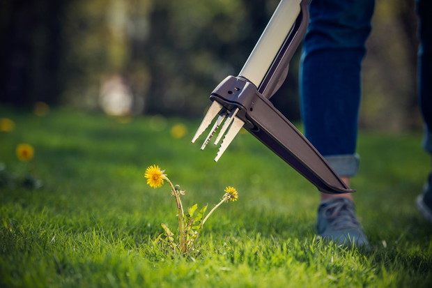 Wyrywacz do chwastów SmartFit™  Fiskars