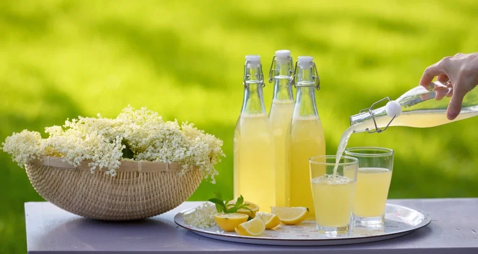 Nalewka z kwiatów czarnego bzu