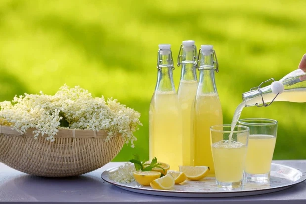 Nalewka z kwiatów czarnego bzu