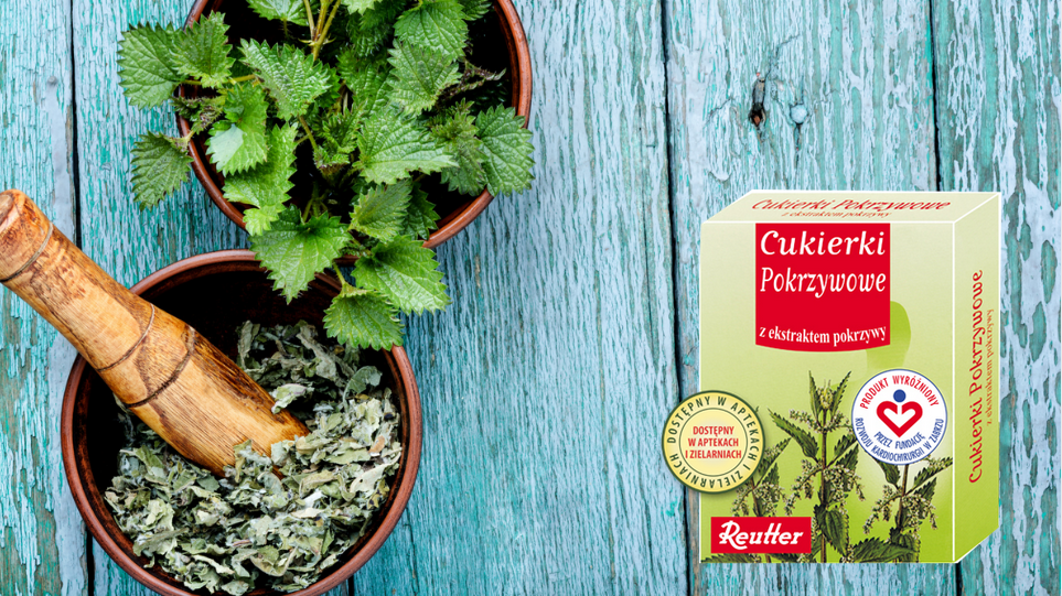 Pokrzywa choć parzy  – jedz ją w przystępnej formie!