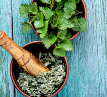 Pokrzywa choć parzy – jedz ją w przystępnej formie!