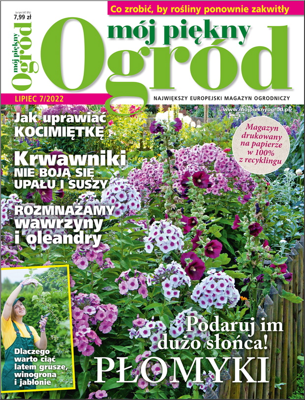 Mój Piękny Ogród 7/22