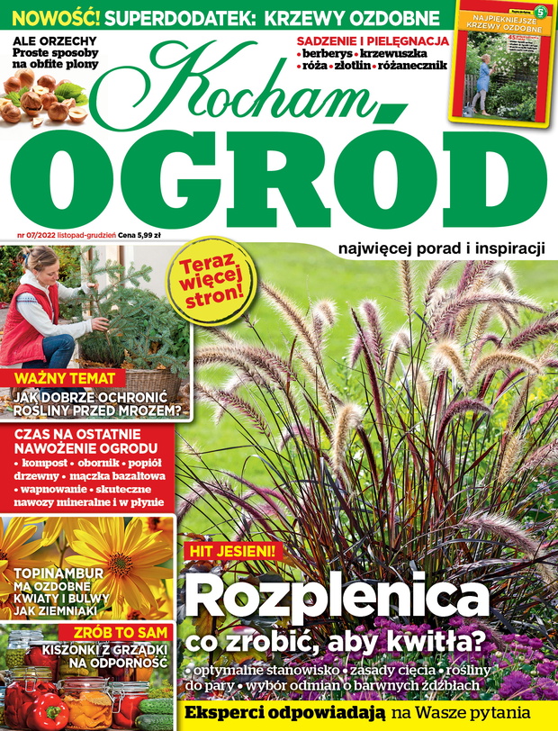 Kocham Ogród 7/2022