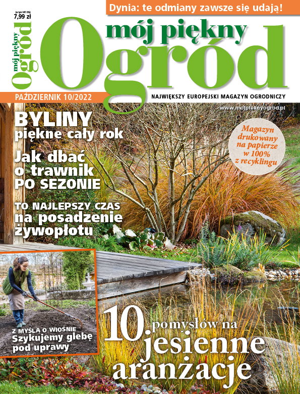 Mój Piękny Ogród 10/22
