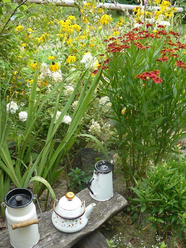 Byliny dzielżany, rudbekie